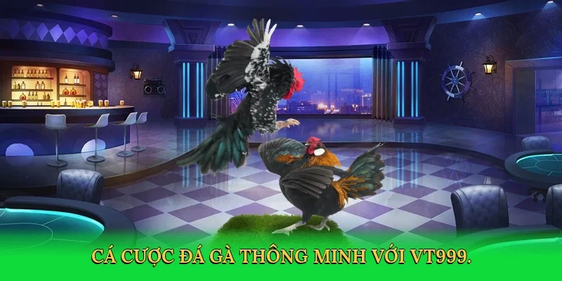 Cá cược đá gà thông minh với VT999.