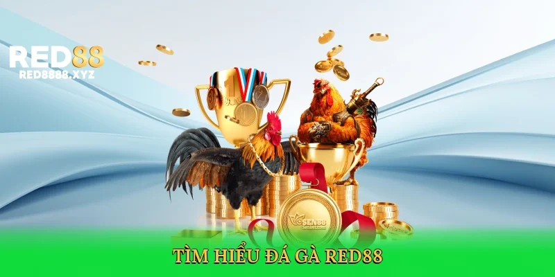tim-hieu-da-ga-red88-2