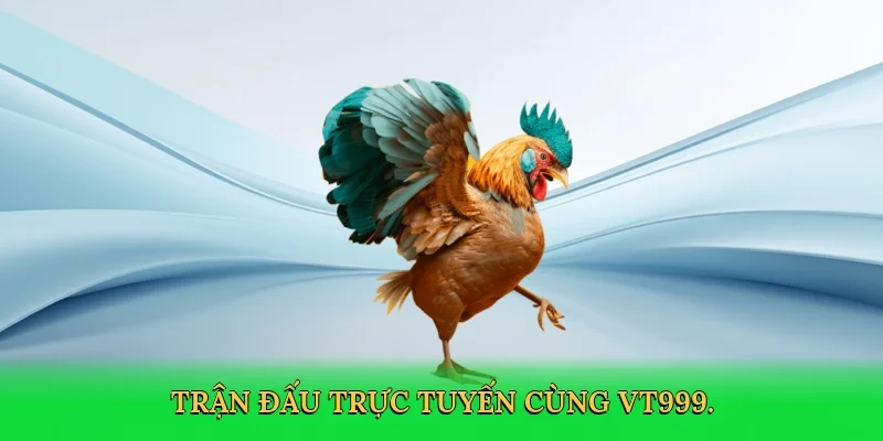 Trận đấu trực tuyến cùng VT999.