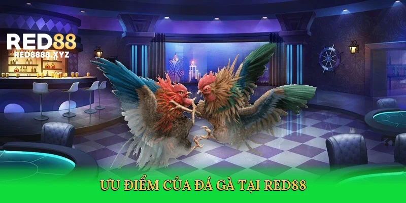 uu-diem-cua-da-ga-tai-red88-3